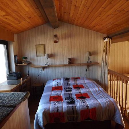 T3 Tres Agreable, 2 Terrasses, Bien Place Amelie-les-Bains-Palalda Bagian luar foto